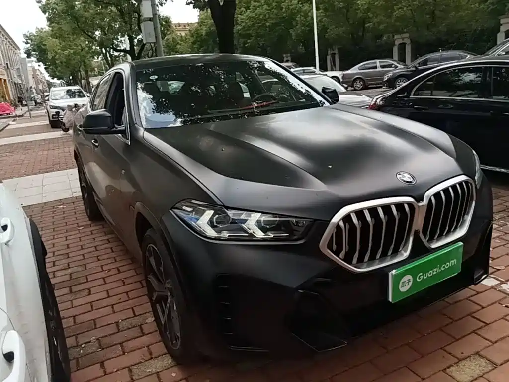 2025 BMW X6