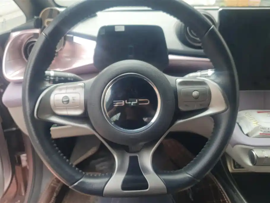 BYD Dolphin 2021 401km Knight Edition фото 15