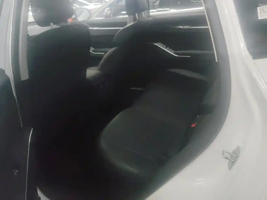 Haval H6 2025 2024 2.0T 2WD Max