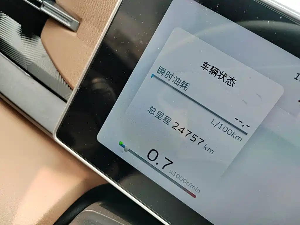 Geely ICON 2024 2023 1.5TD Protagonist