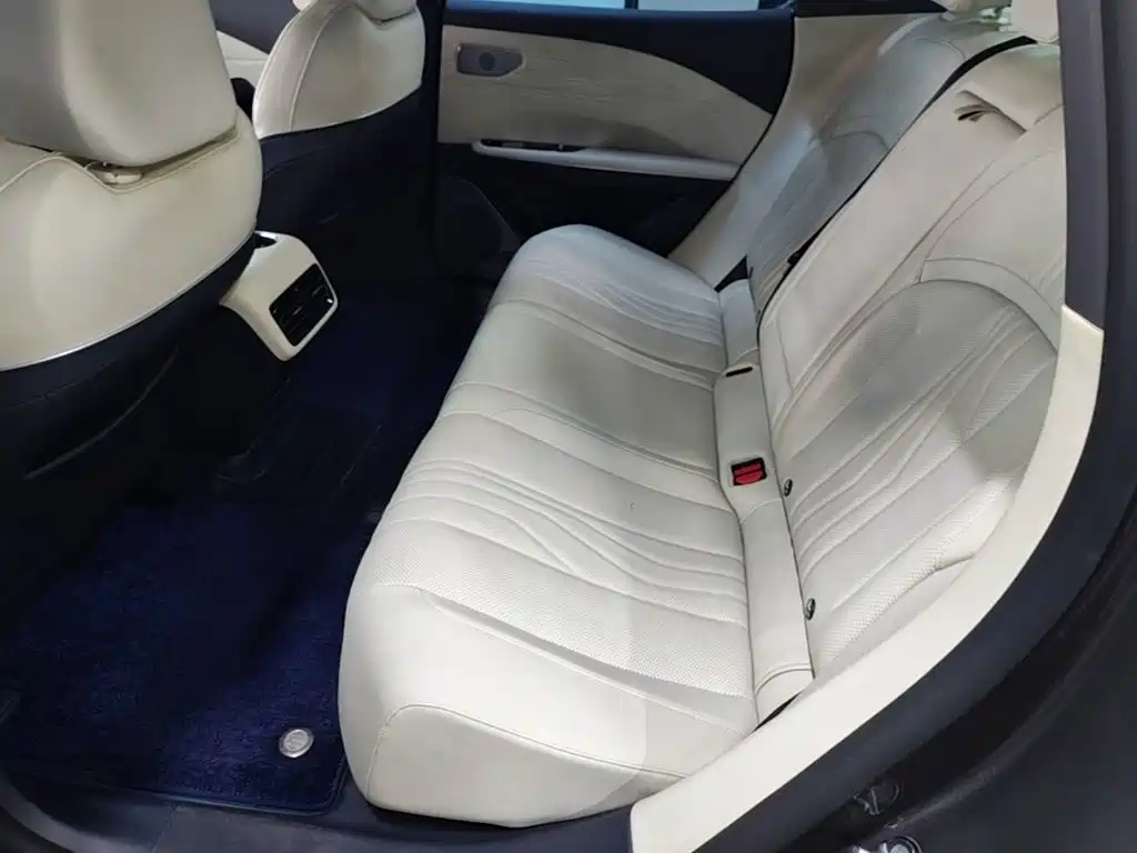 Geely Galaxy Galaxy E8 2024 2024 550km RWD MAX