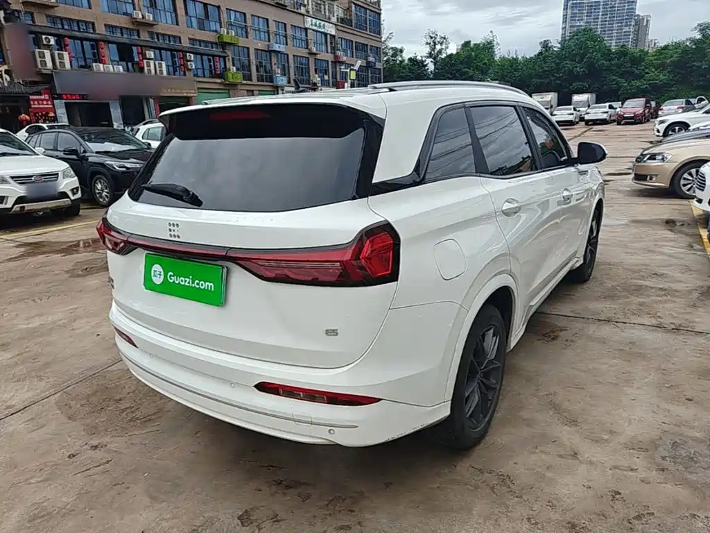Landian E5 2024 2024 Glory Edition 100KM Premium Type 7-Seater
