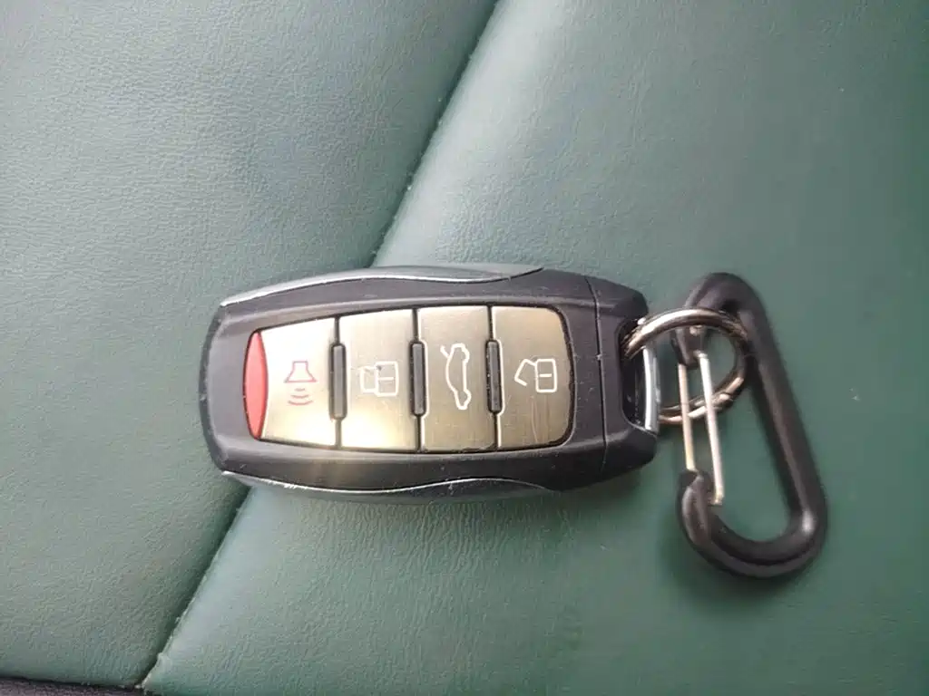 Ora Black Cat 2020 2021 351km Luxury Model