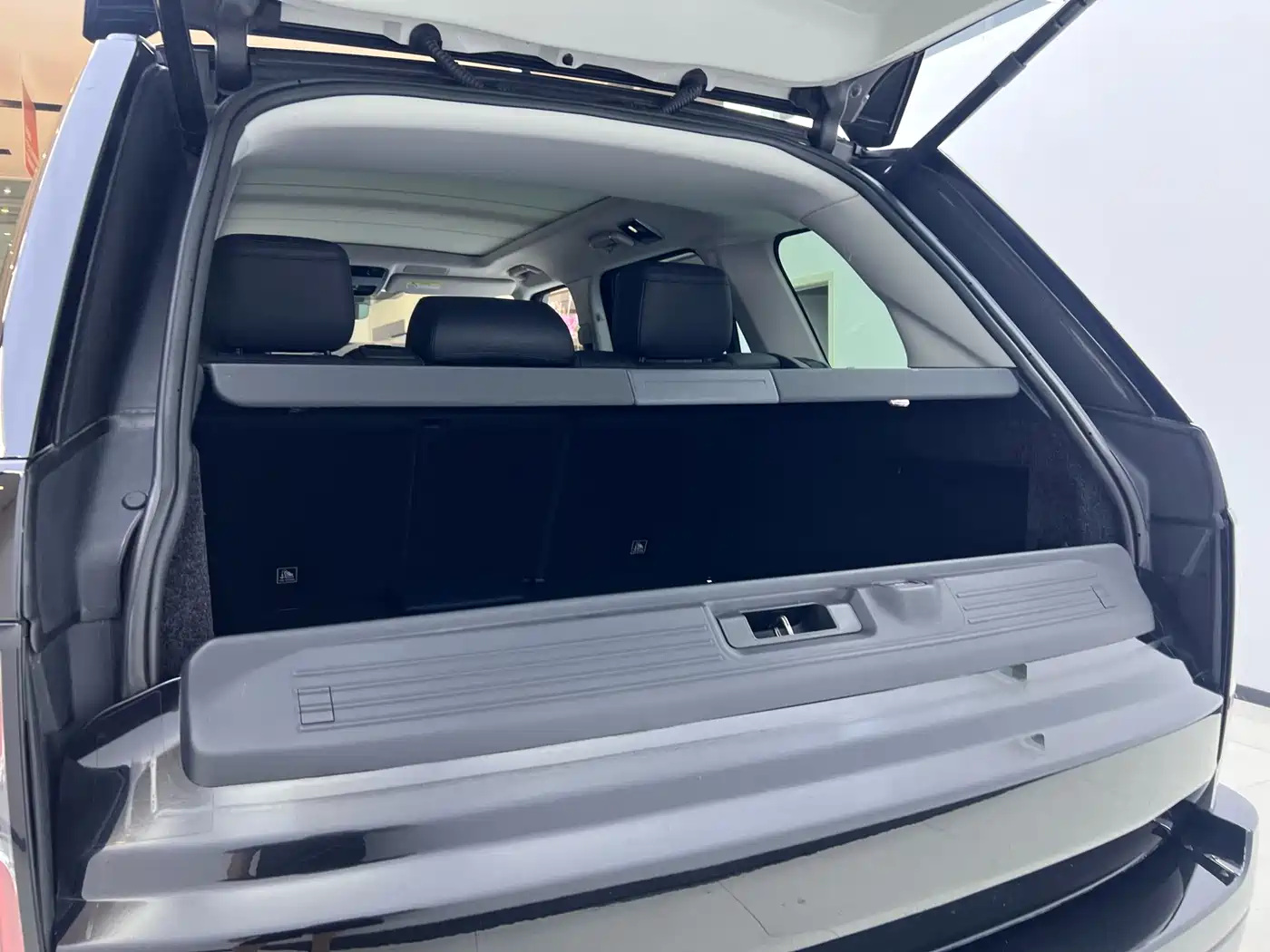 Land Rover Range Rover 2021 3.0 L6 Golden Age Edition фото 22
