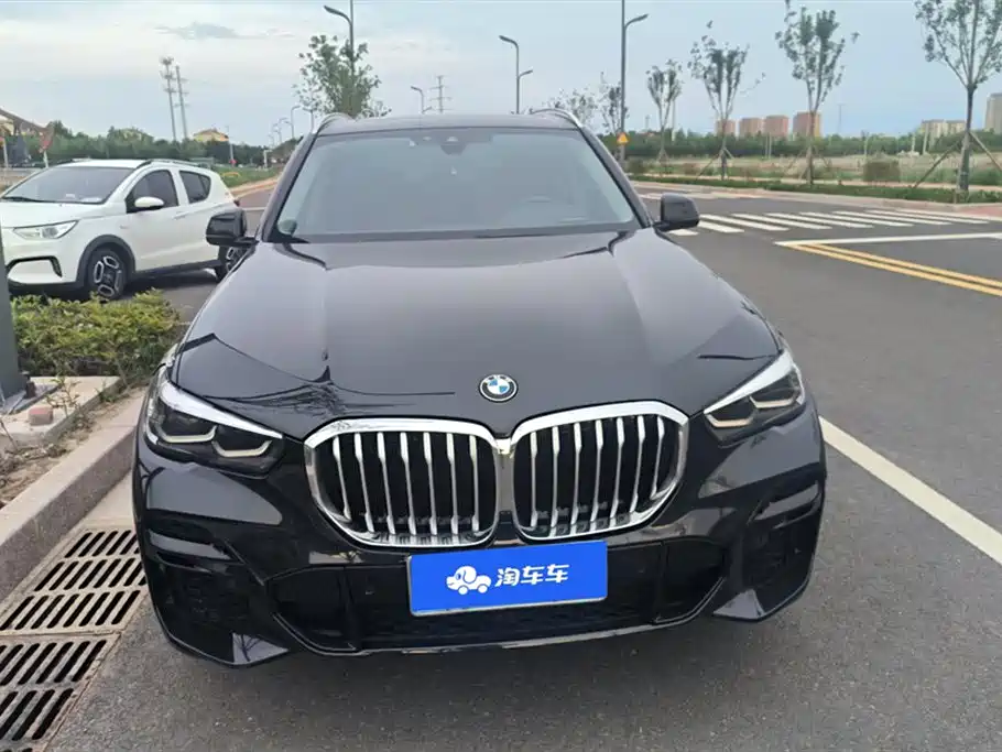 BMW X5 (Import) 2021 Facelift xDrive30i M Sport Package фото 2
