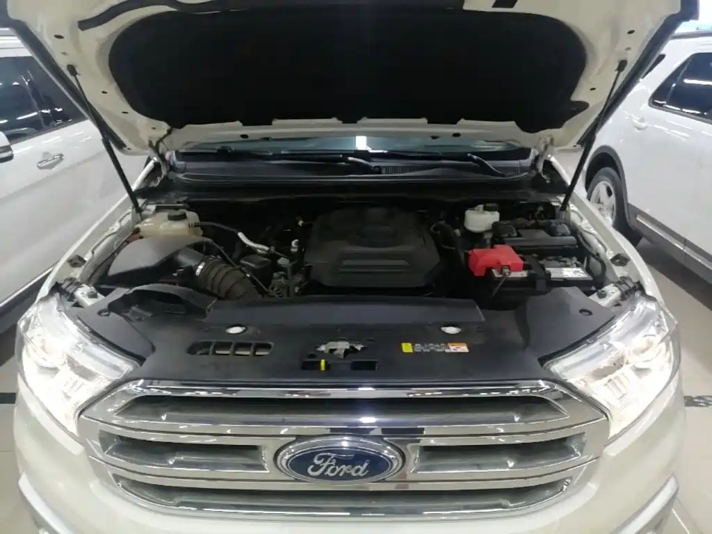 Ford Everest 2017 2017 2.0T Gasoline Automatic 4WD Flagship Edition 7-Seater