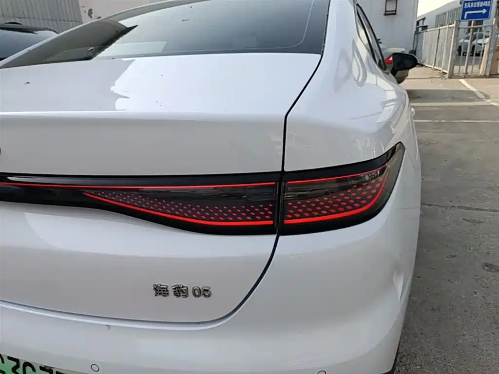 BYD Hai Bao 05 DM-i 2025 DM-i Smart Drive Edition 55KM Luxury фото 8