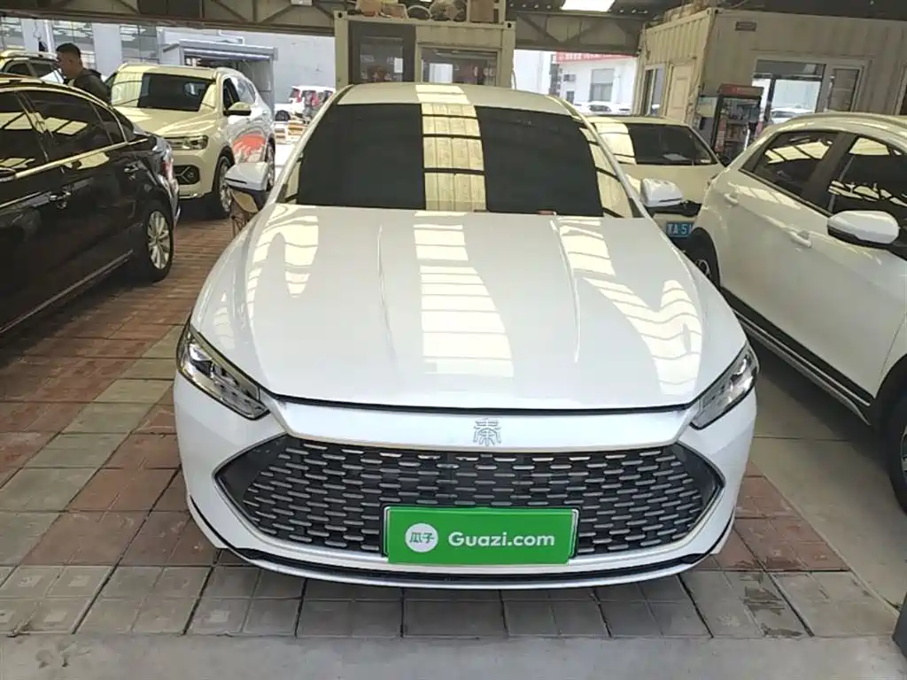BYD Qin PLUS 2024 Glory Edition DM-i 55KM Leading фото 3
