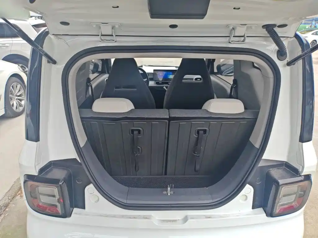 Geely Galaxy Panda 2025 2025 Panda mini 210km Vitality Bear