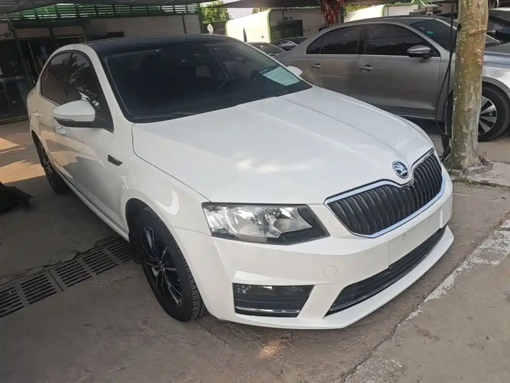 Škoda Octavia 2017 TSI280 DSG ZhiXing фото 4