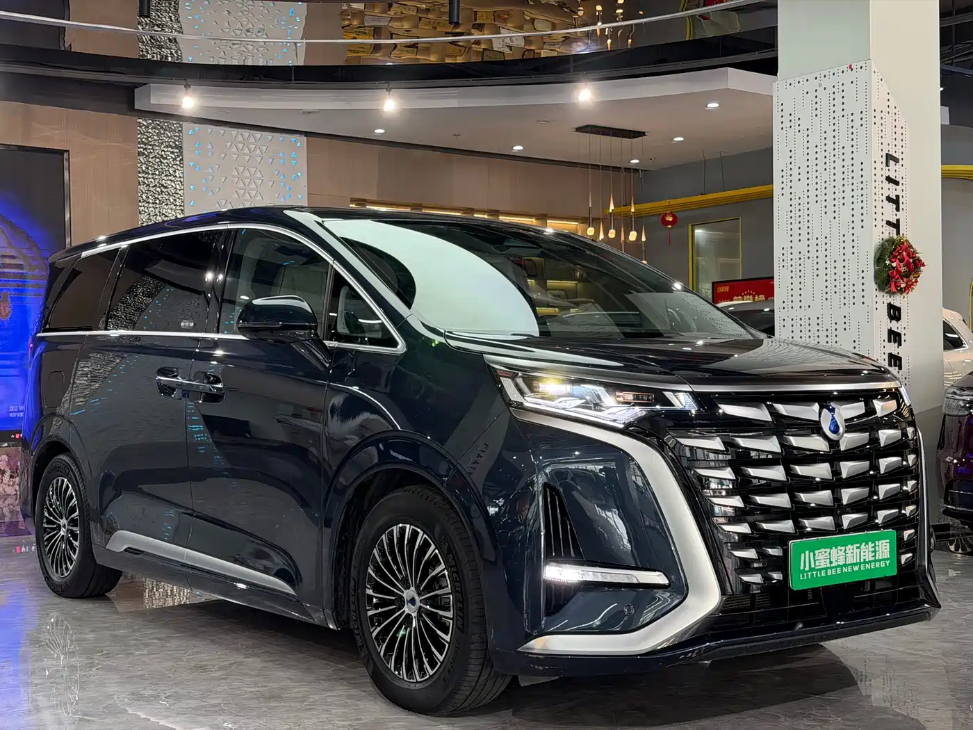 Denza D9 2022 DM-i 970 All-Wheel Drive Honor Edition фото 3