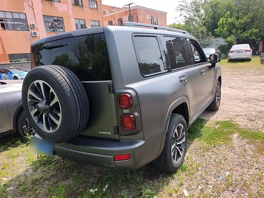 Haval H9 2024 2.0T Gasoline AWD Extreme Edition фото 7