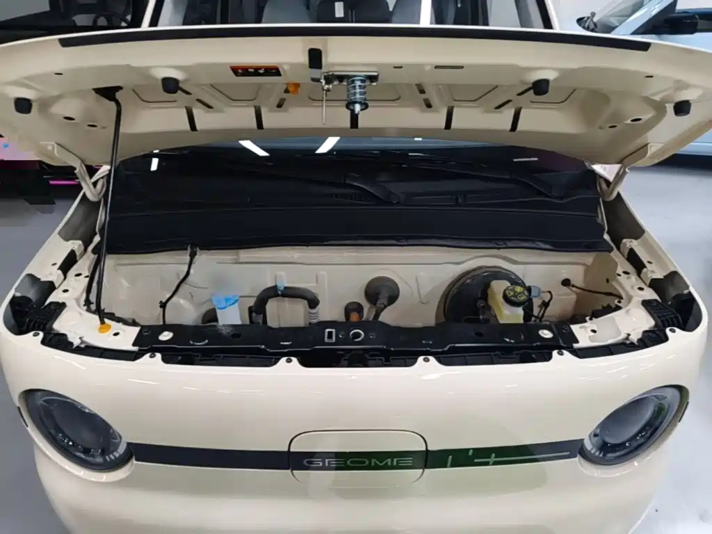 Geely Galaxy Panda 2025 2025 Panda mini 210km Vitality Bear