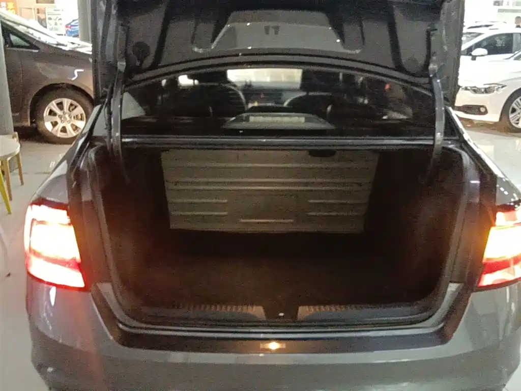 Škoda Rapid 2018 1.6L Automatic Comfort Edition фото 19