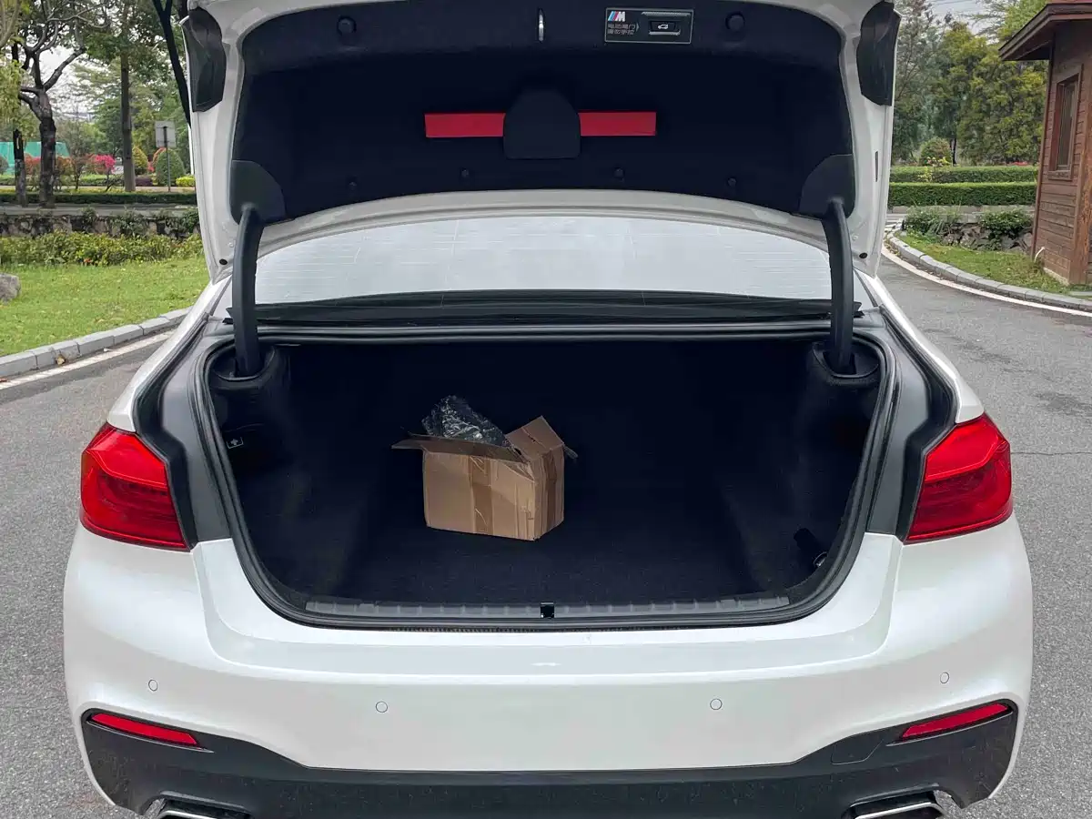 BMW 5 Series 2018 530Li Leading M Sport Package фото 16