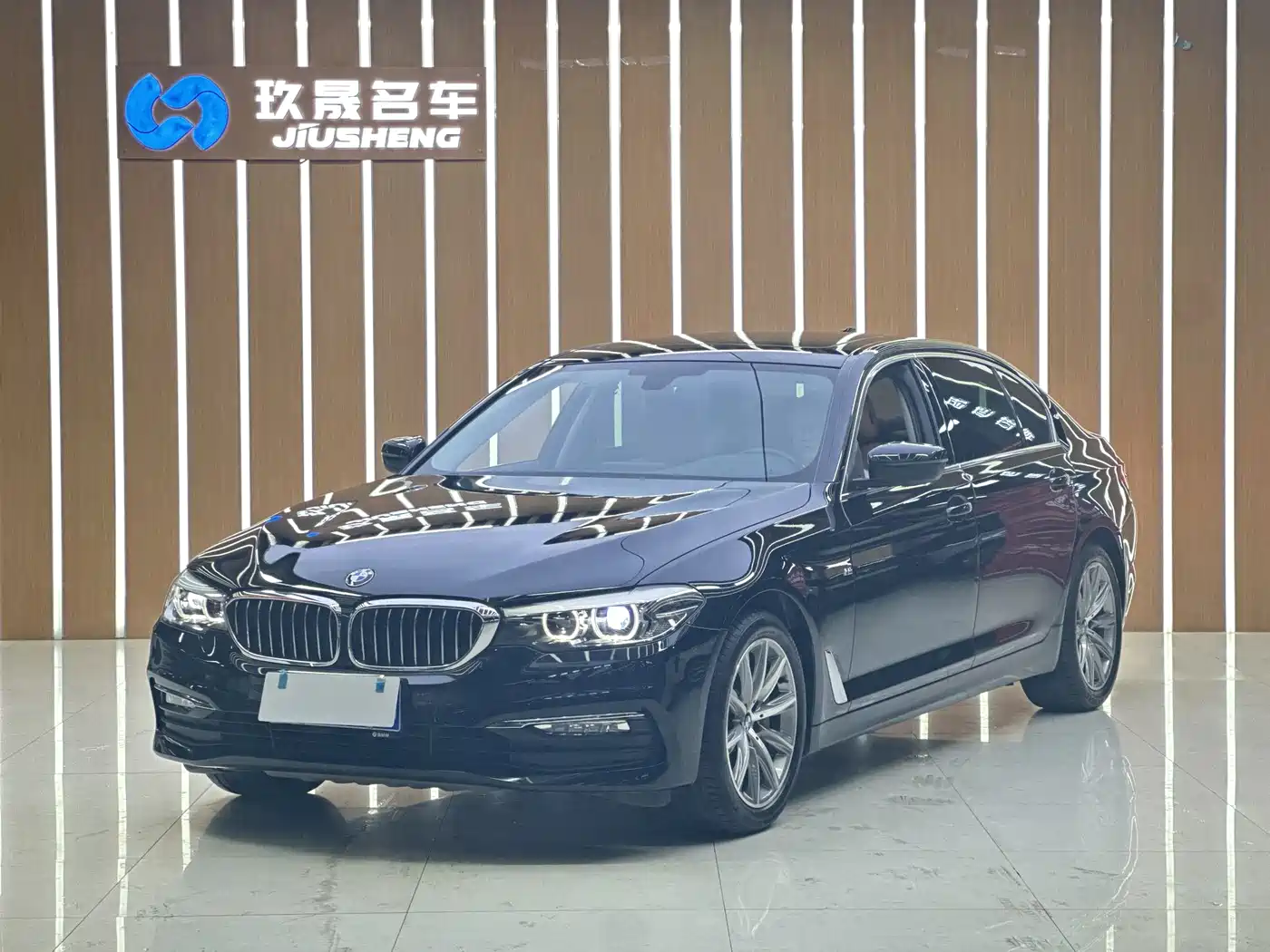 BMW 5 Series 2018 528Li Launch Special Edition