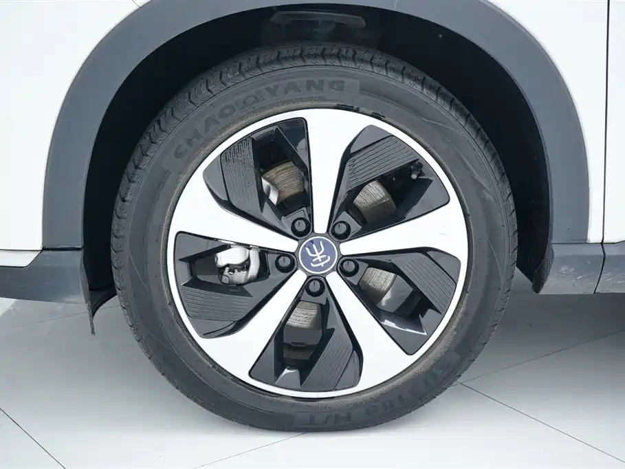 BYD Song PLUS PHEV 2021 DM-i 110KM Flagship фото 15