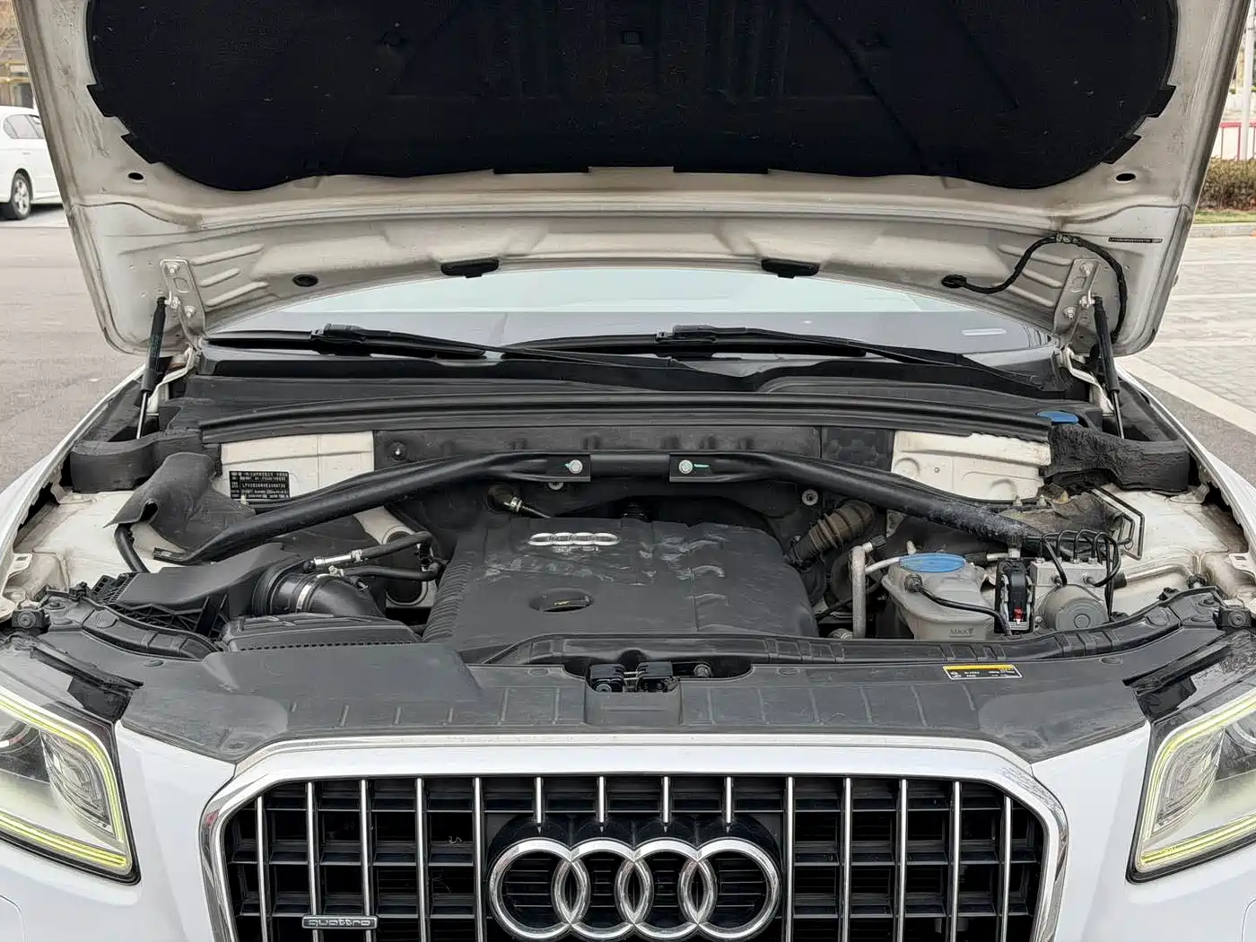 Audi Q5 2013 40 TFSI Progressive фото 15