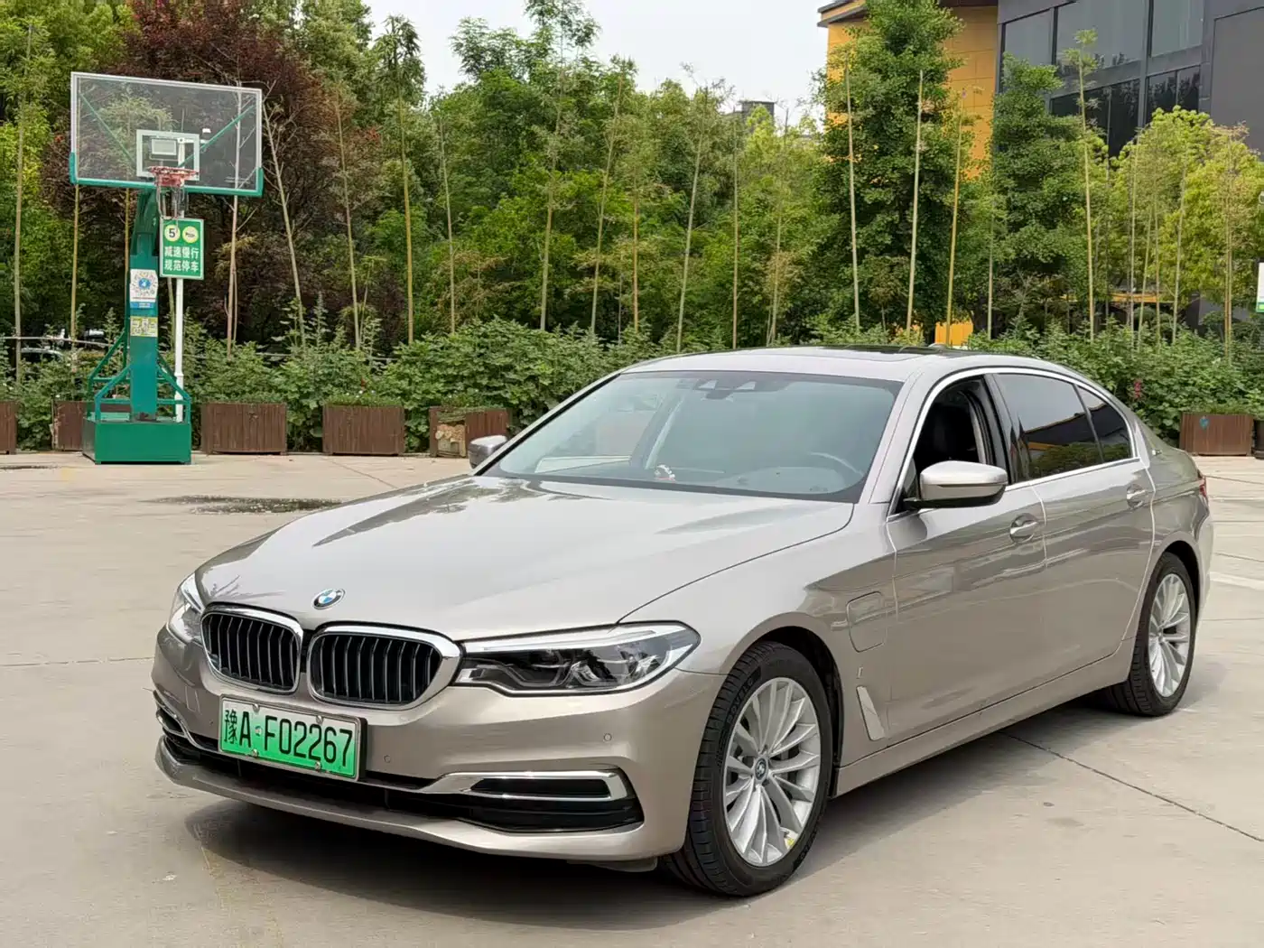 BMW 5 Series New Energy 2019 Facelift 530Le Luxury Package