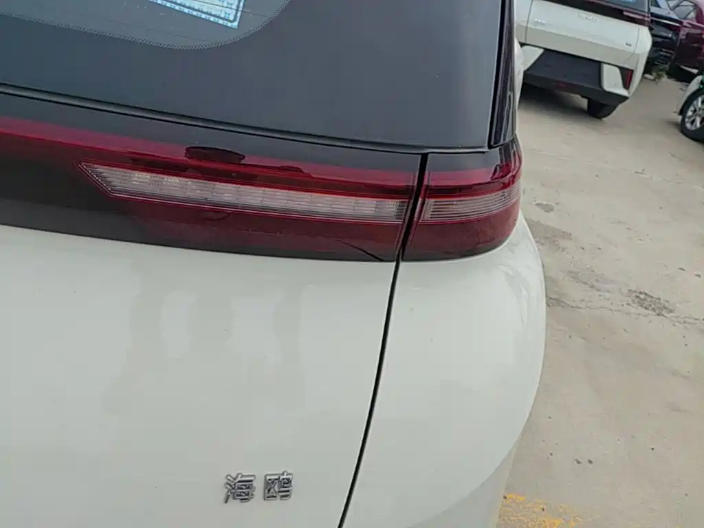 BYD Seagull 2026 2025 Smart Drive Edition 305km Vitality Version