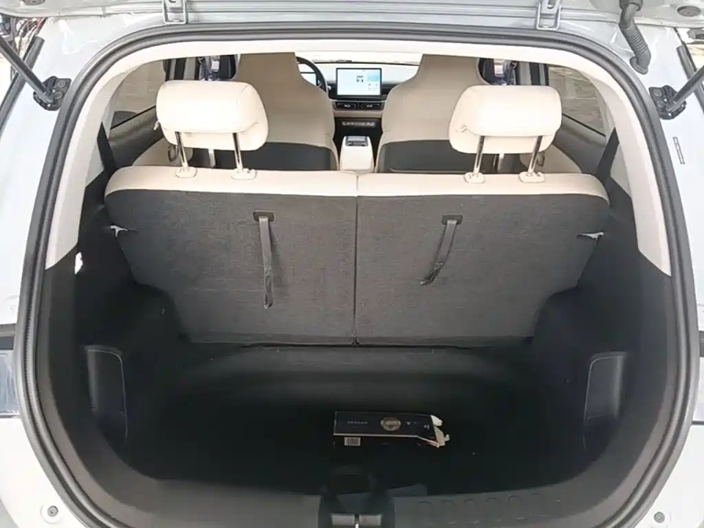 Фото 19 - Wuling Motors Wuling Binguo PLUS