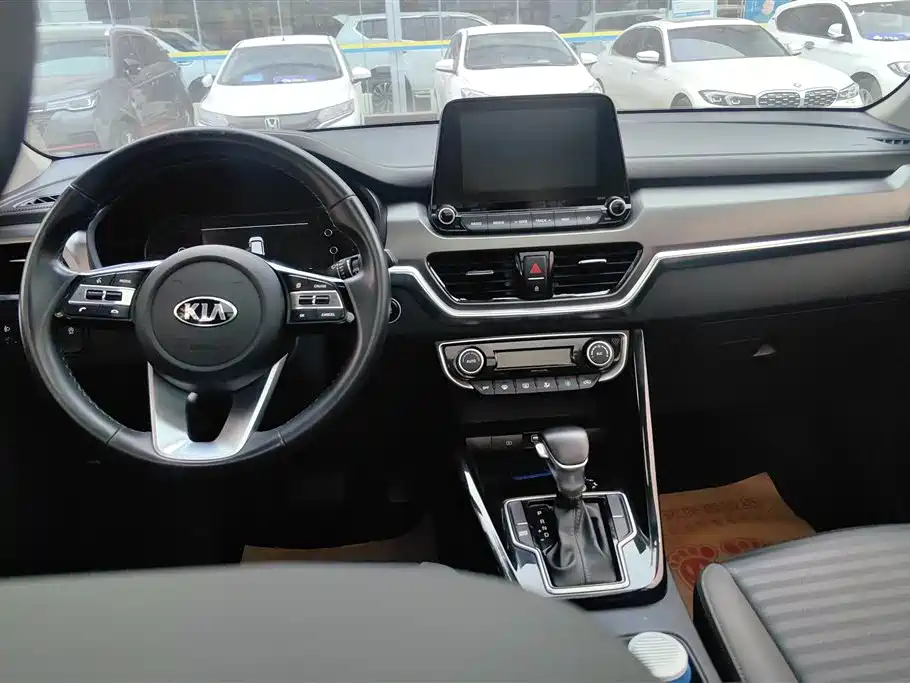 Kia Sportage 2019 2.0L Automatic Smart Luxury Edition фото 12