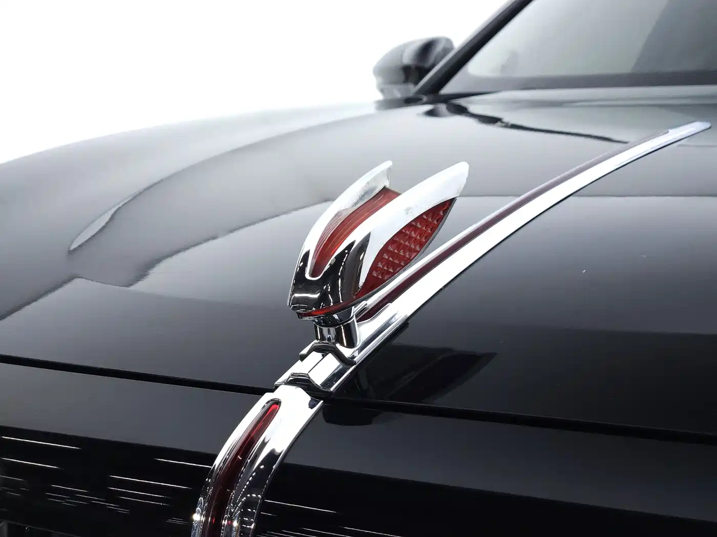 صورة 26 - Hongqi H9