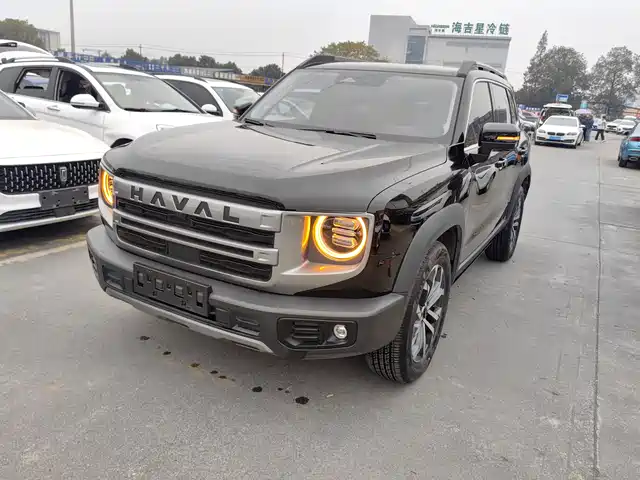 HAVAL BIG DOG