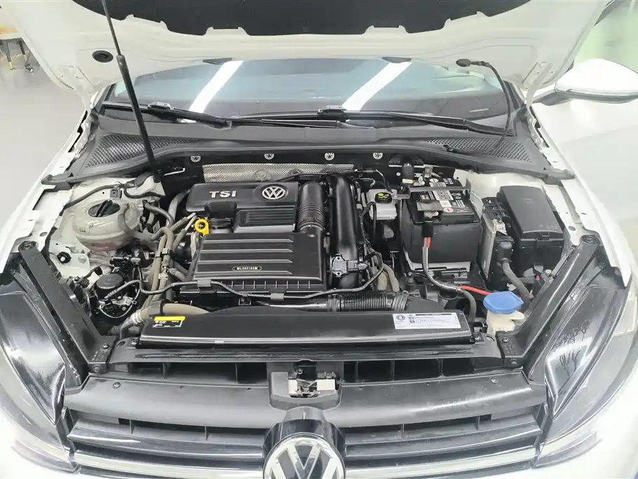 Volkswagen Golf 2019 200TSI DSG Comfort Progressive China VI фото 10