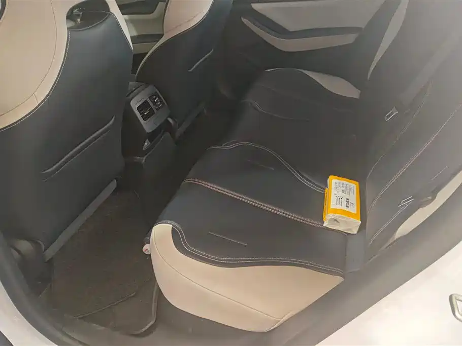 BYD Qin PLUS 2023 Champion Edition DM-i 55KM Leading фото 11