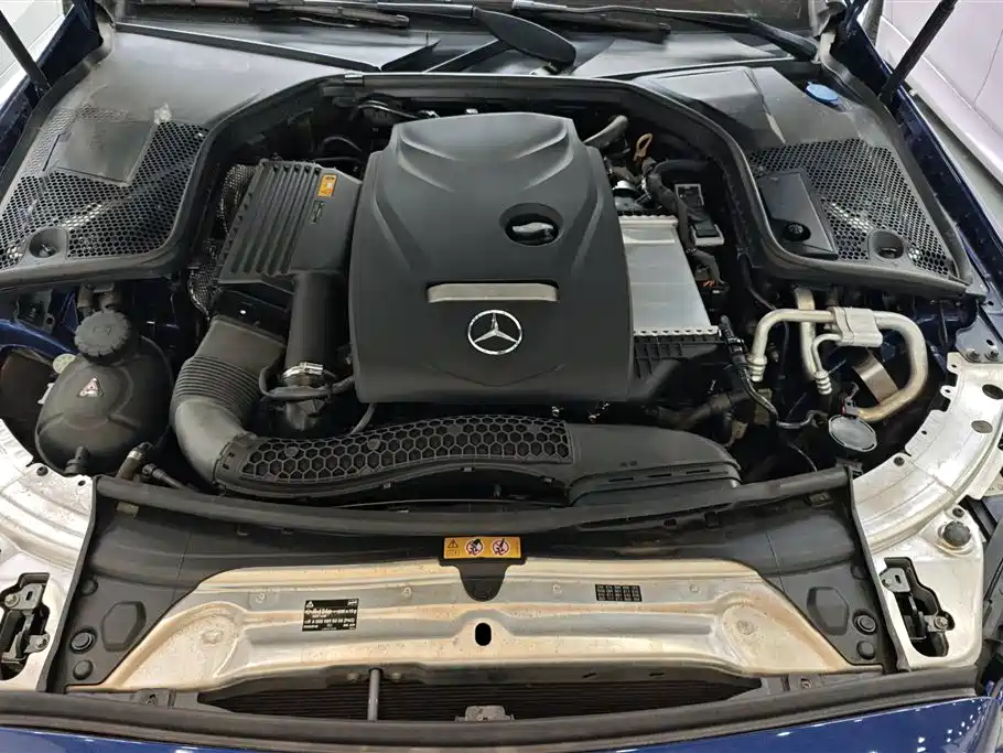 Mercedes-Benz C-Class 2018 C 200 L Sport Achievement Special Edition фото 10