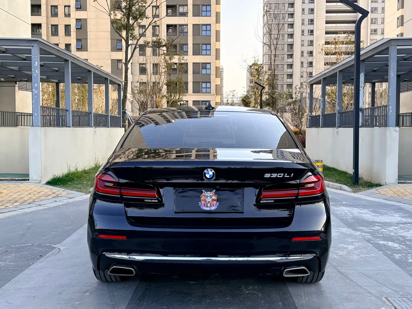 BMW 5 Series 2021 530Li Leading Luxury Package фото 13