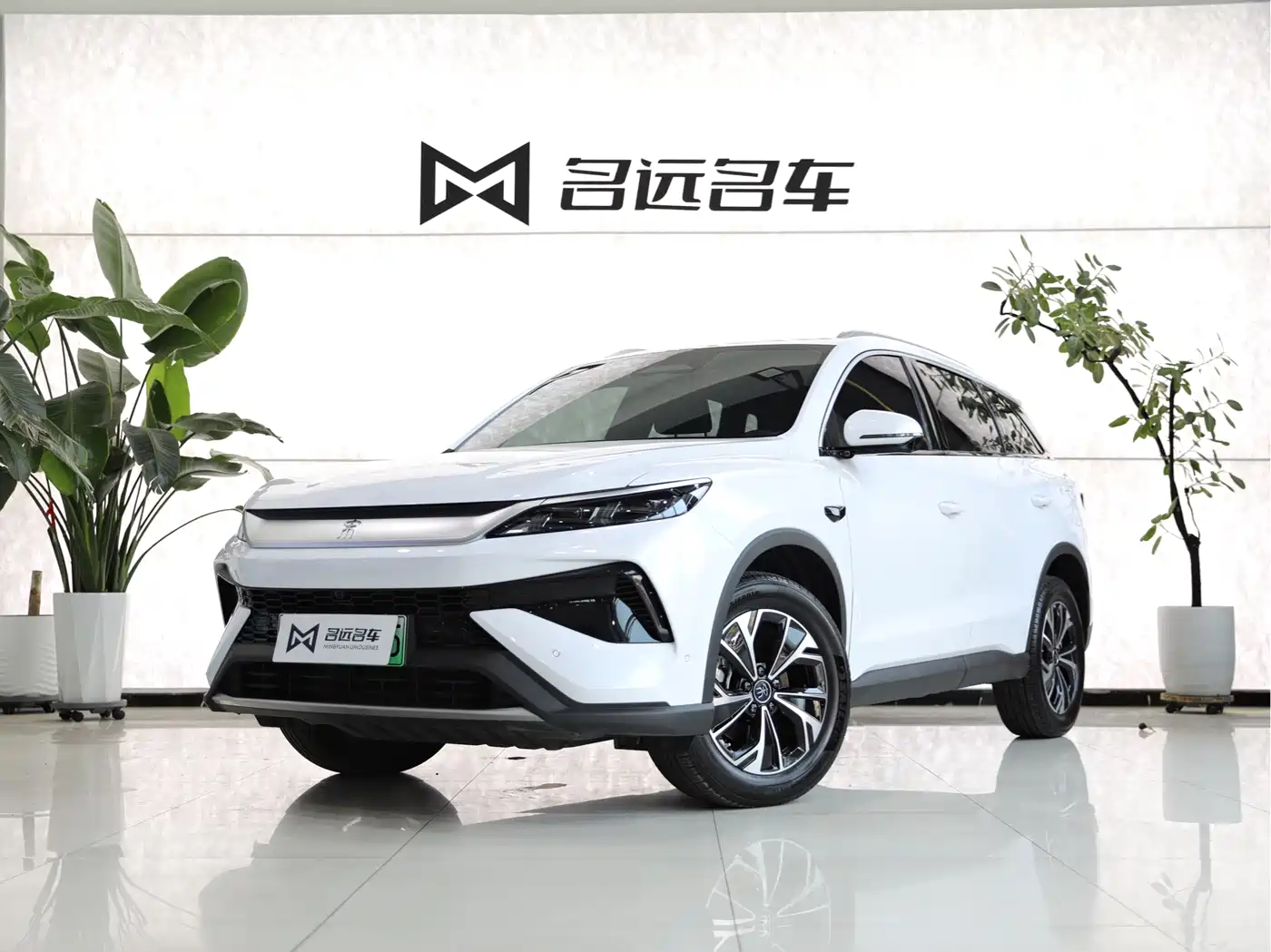 BYD Song Pro New Energy 2025 2nd Generation Smart Drive Edition DM-i 75KM Leading Type