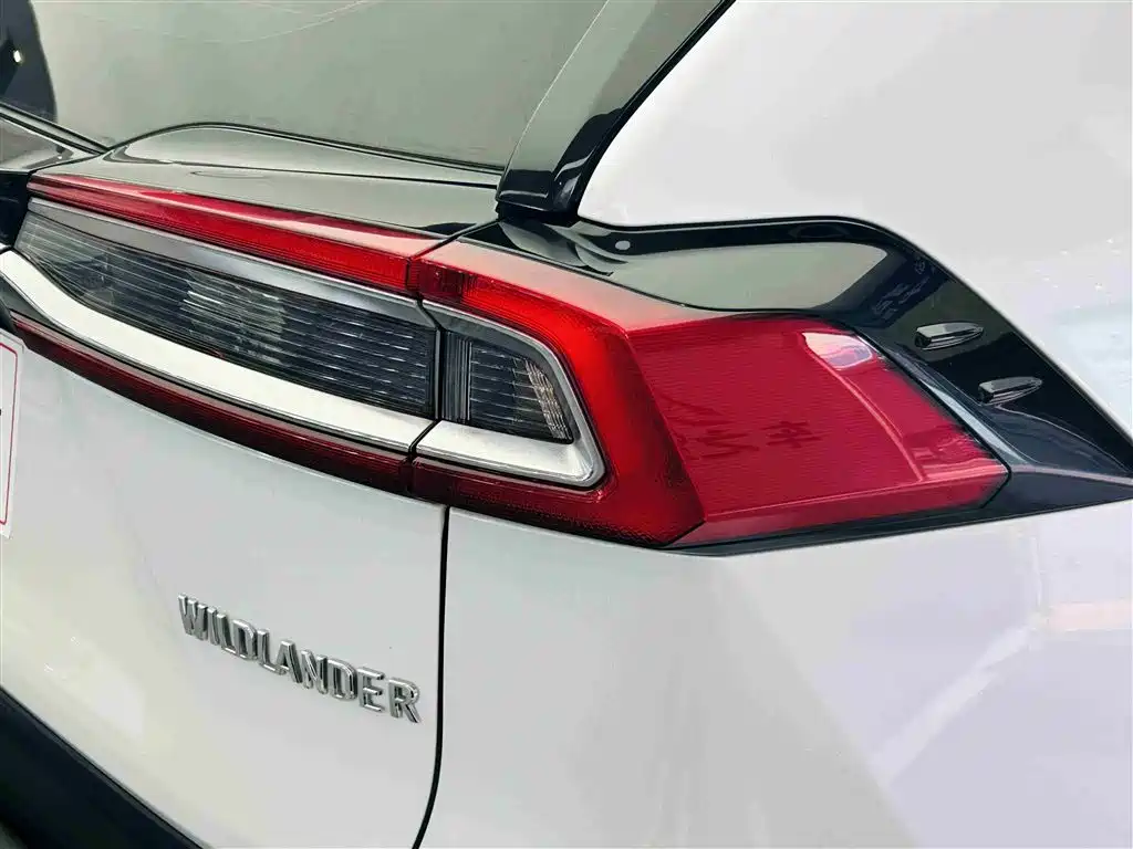 Toyota Wildlander 2021 2.0L CVT 2WD Luxury Edition фото 12