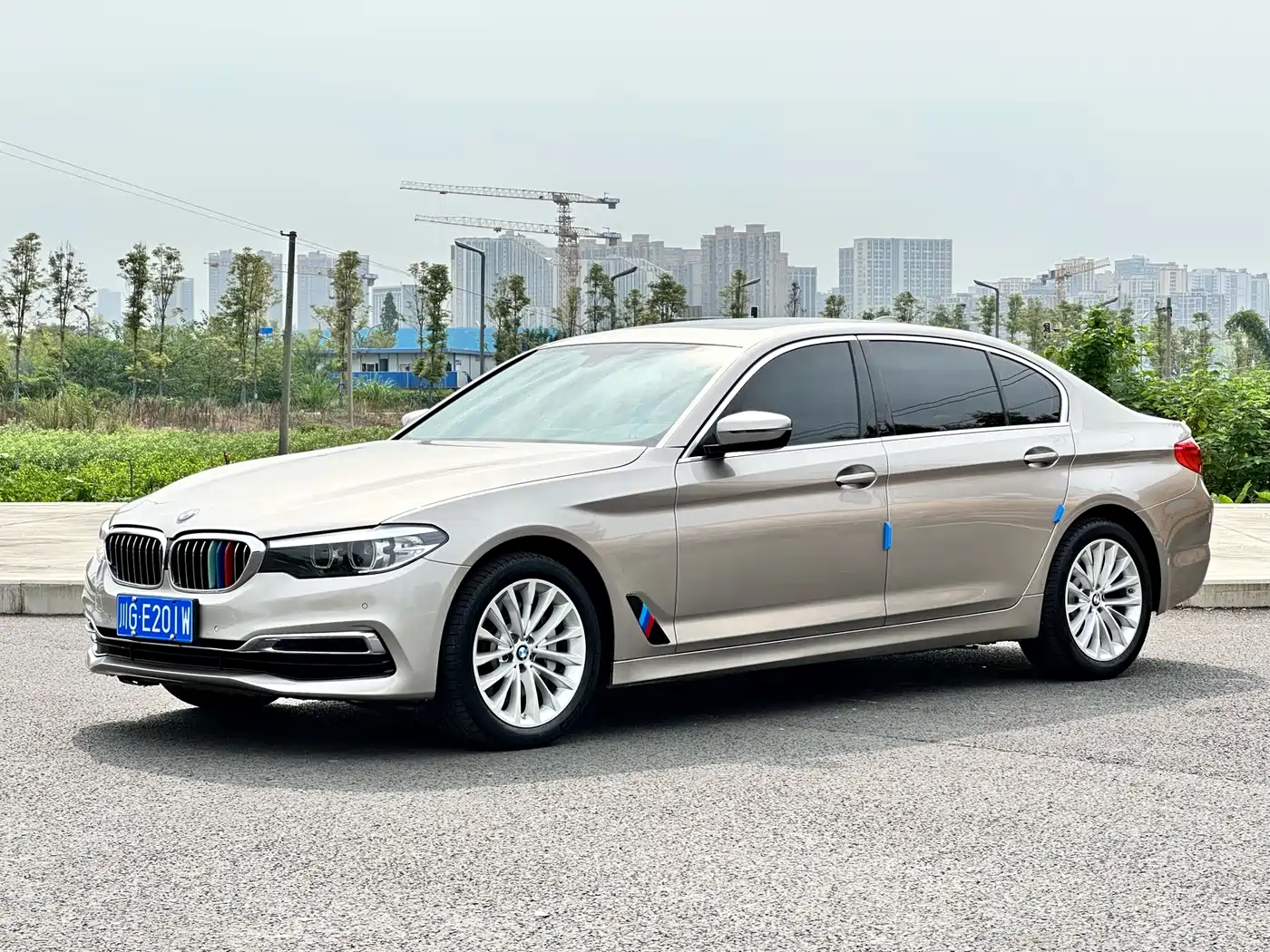 BMW 5 Series 2019 530Li Leading Luxury Package