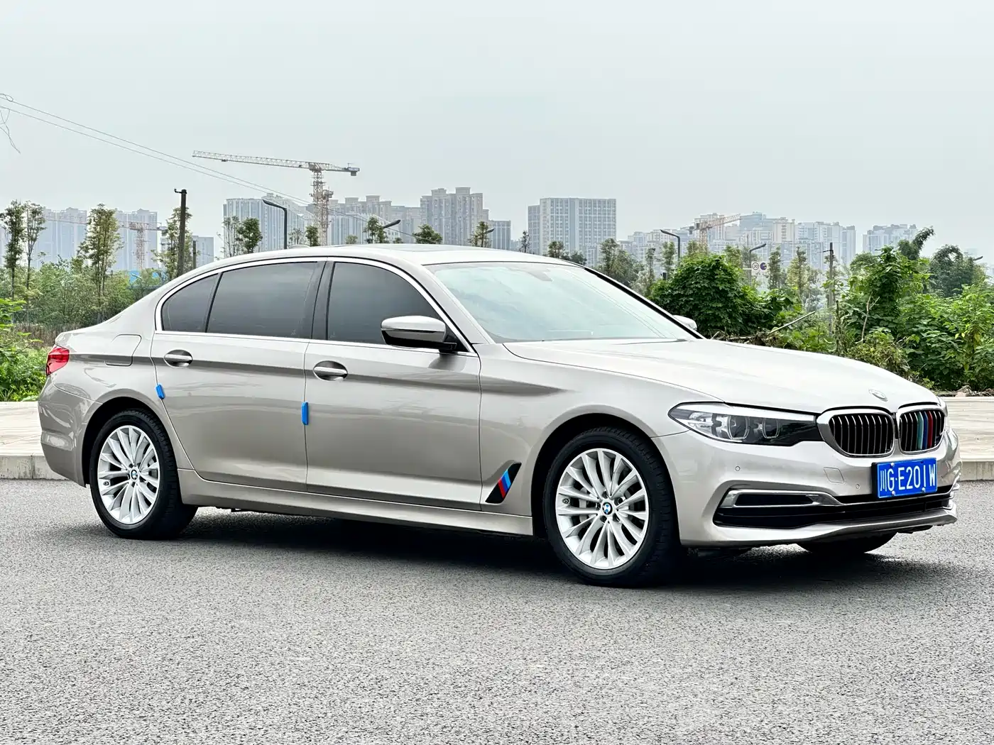 BMW 5 Series 2019 530Li Leading Luxury Package фото 3