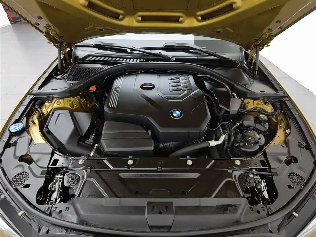 BMW 3 Series 2020 325Li M Sport Black Night Package фото 6