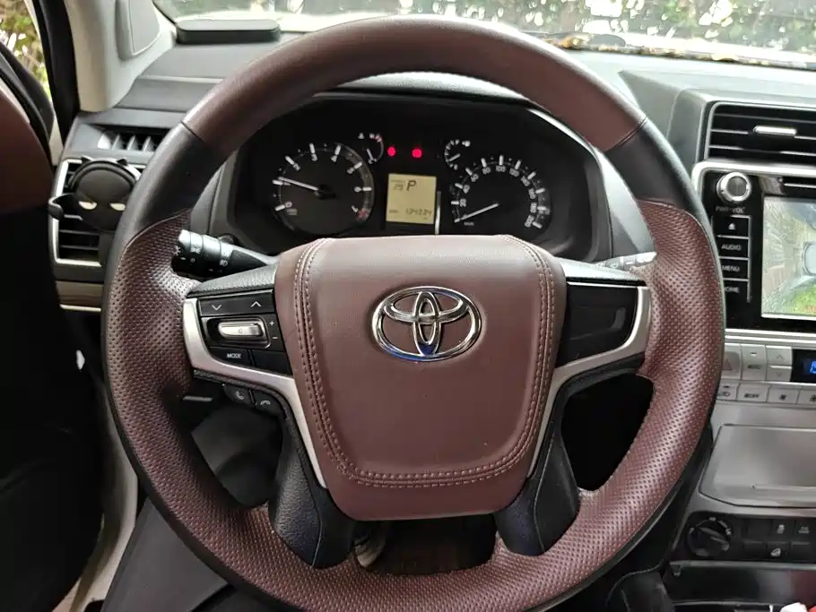 Фото 15 - Toyota Prado
