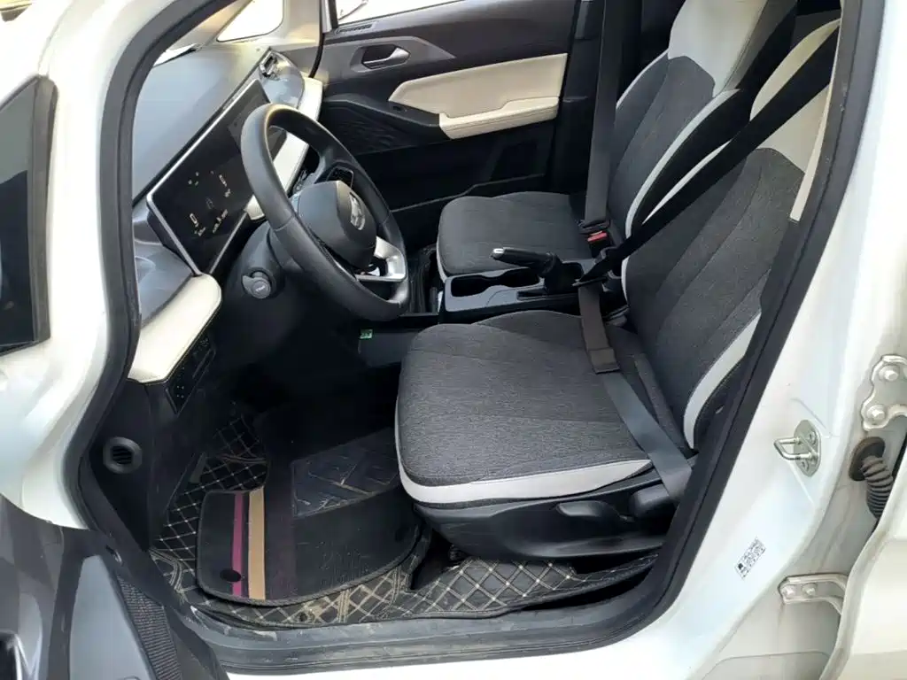 Geely Geometry E Firefly 2023 2024 Model 301km Light Flow