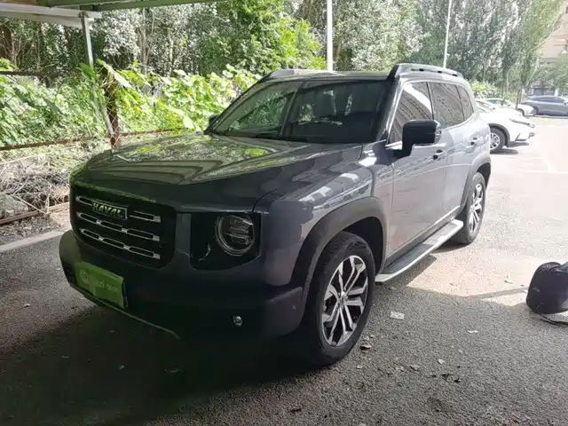 Haval Big Dog 2021