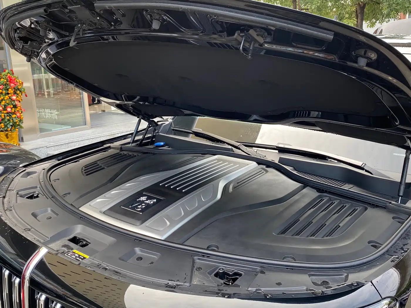 Hongqi Guoyao 2022 4.0T Premium Flagship 4-Seater фото 25