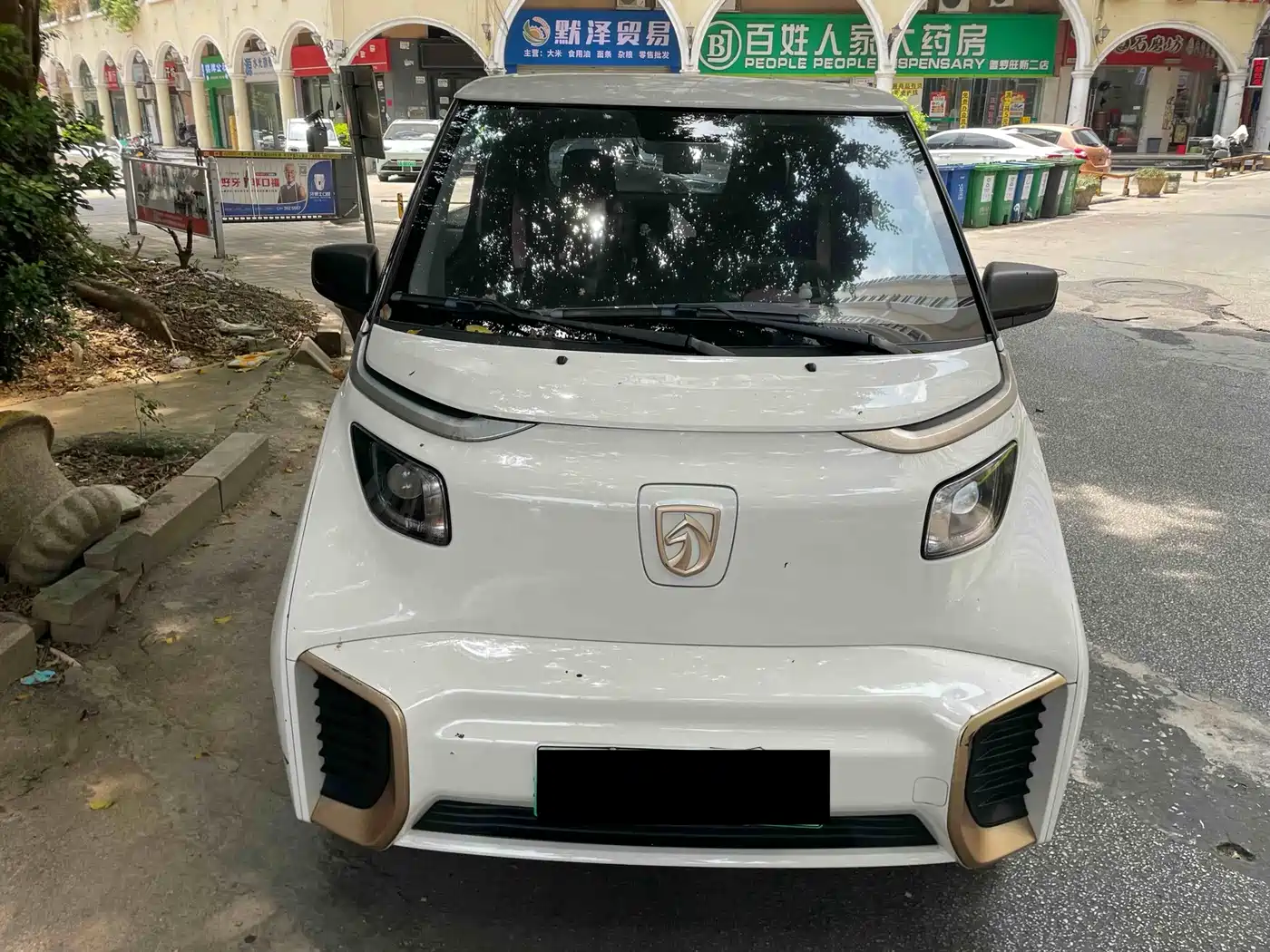Baojun E200 2019 2019 250KM Smart Enjoy Edition