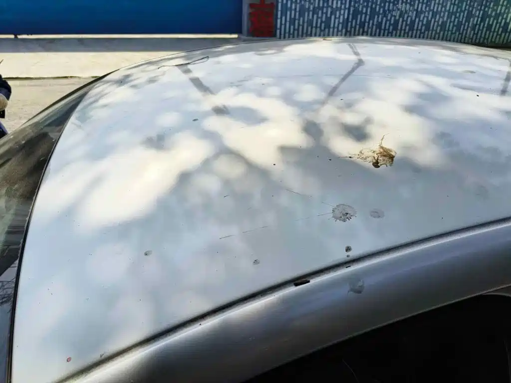 Фото 6 - Volkswagen Bora