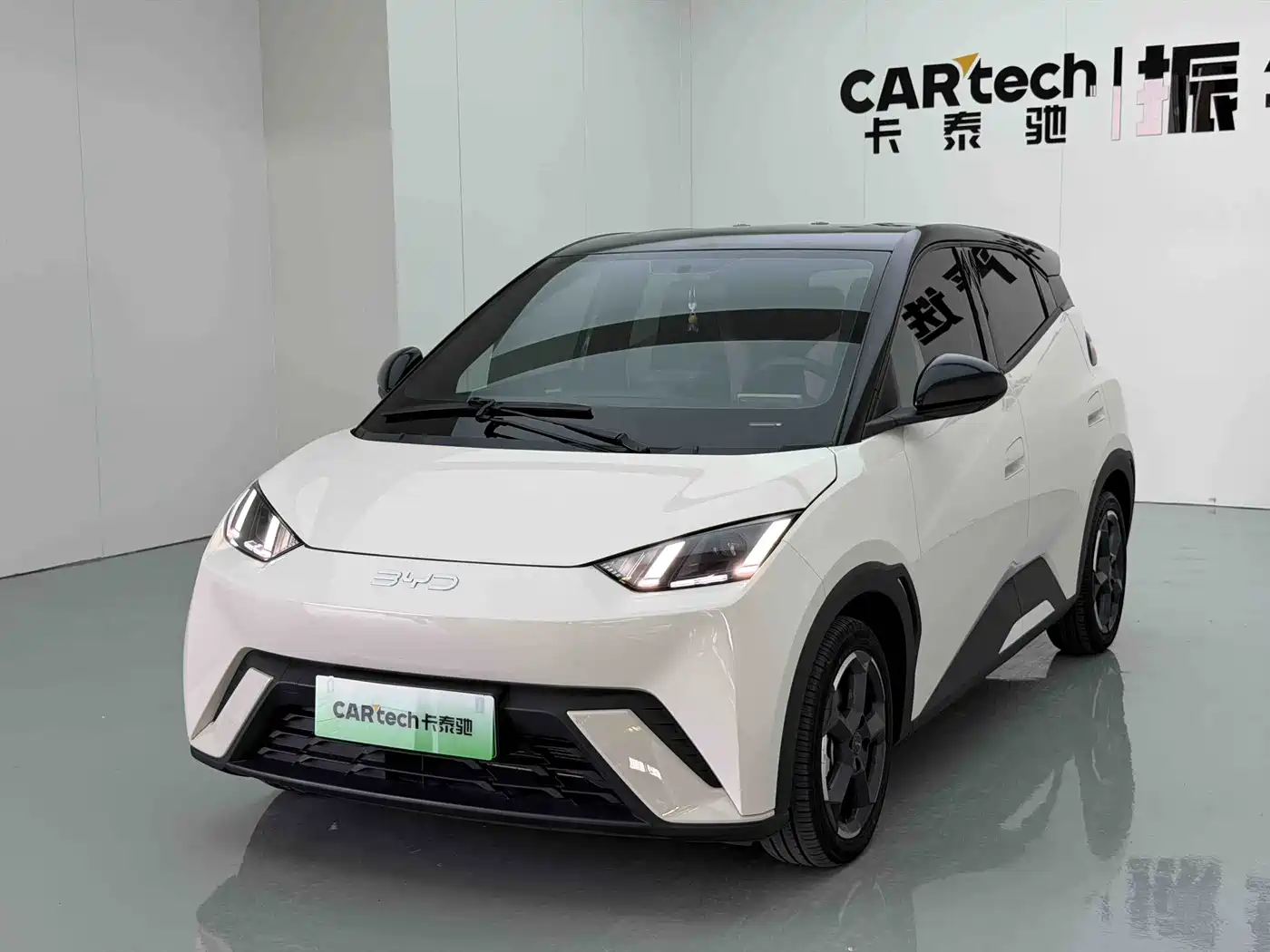 BYD Seagull 2024