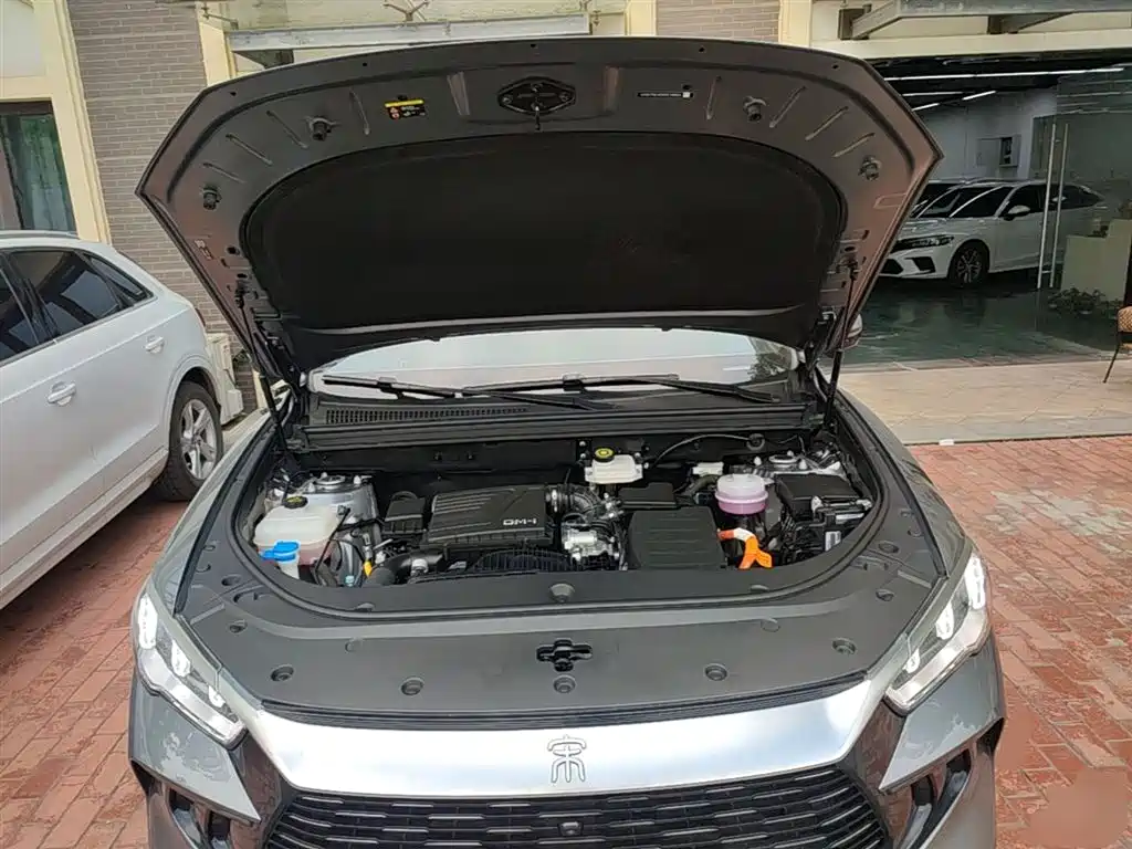 BYD Song Pro New Energy 2024 Glory Edition DM-i 110KM Excellence фото 20