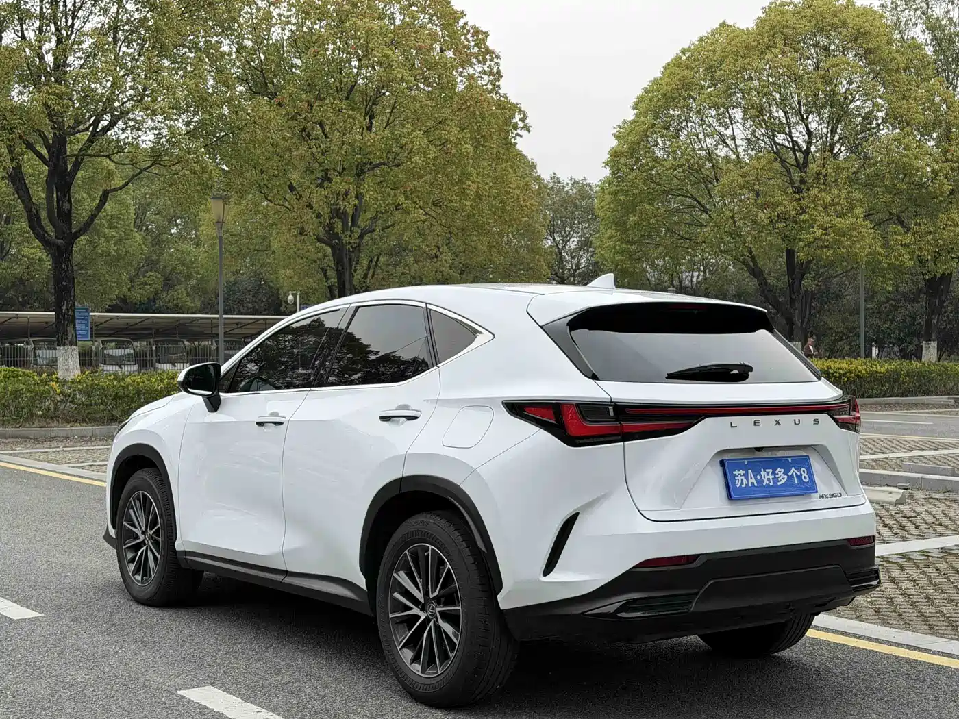 LEXUS NX