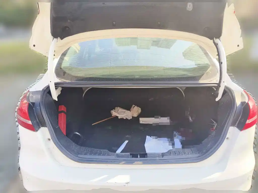 Фото 5 - Ford Focus