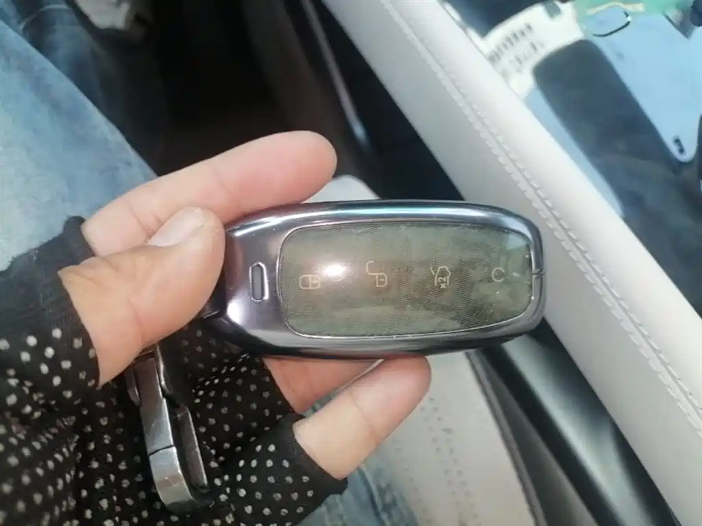 Denza D9 2022 DM-i 970 AWD Flagship фото 9