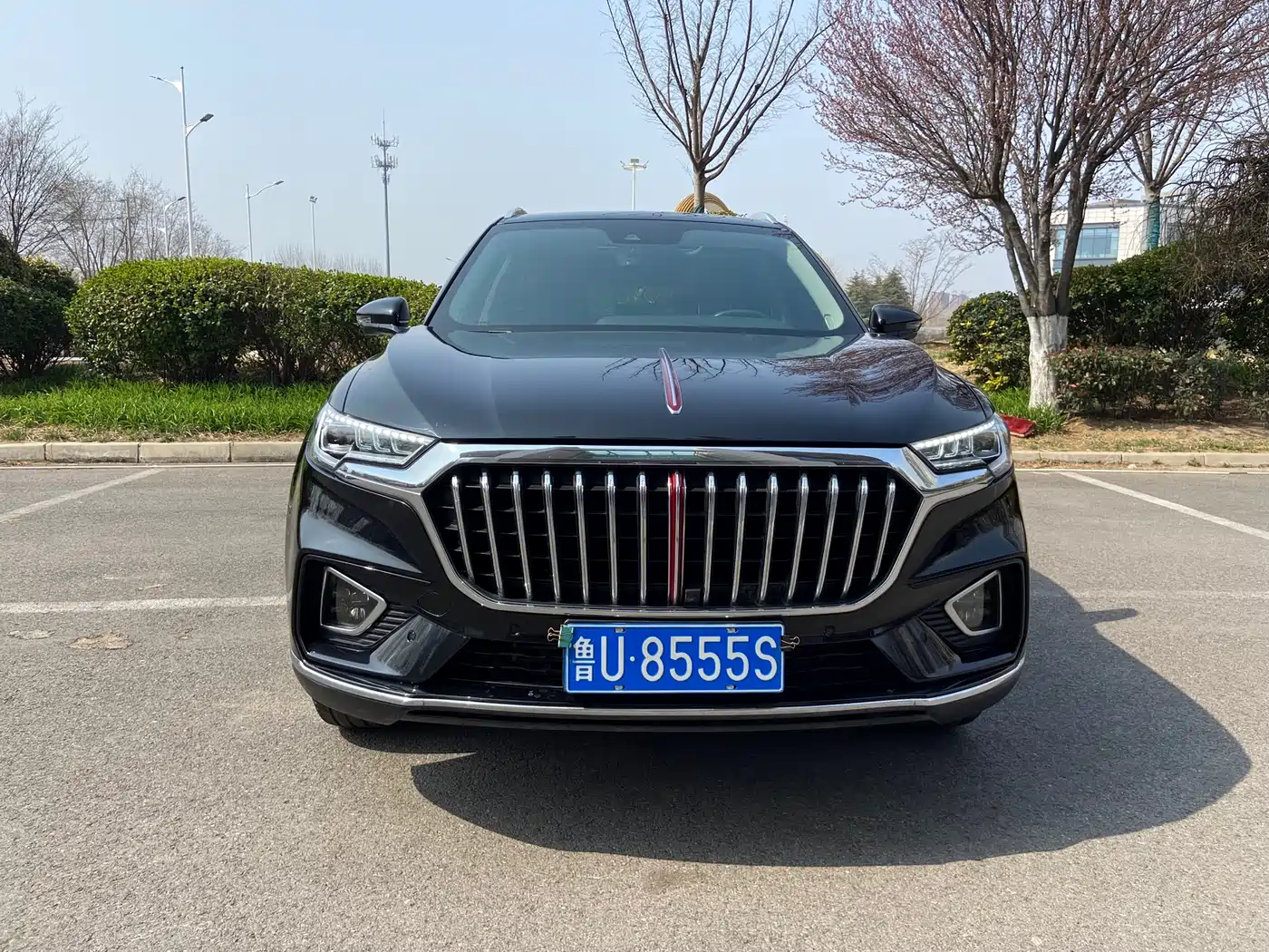 Hongqi HS5 2019 2.0T Smart Connect Enjoy Edition фото 8