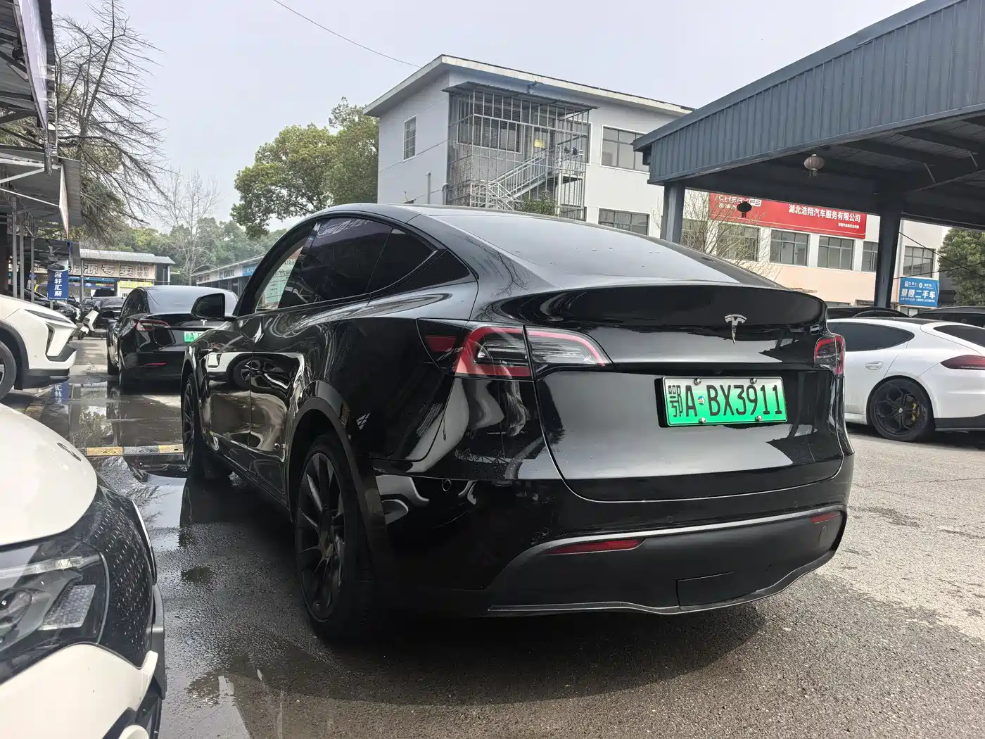 TESLA MODEL Y